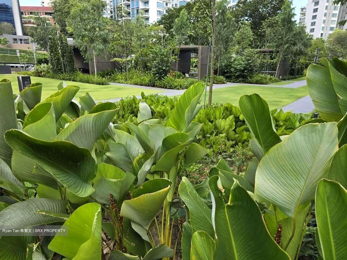 Leedon Green (D10), Condominium #550292461